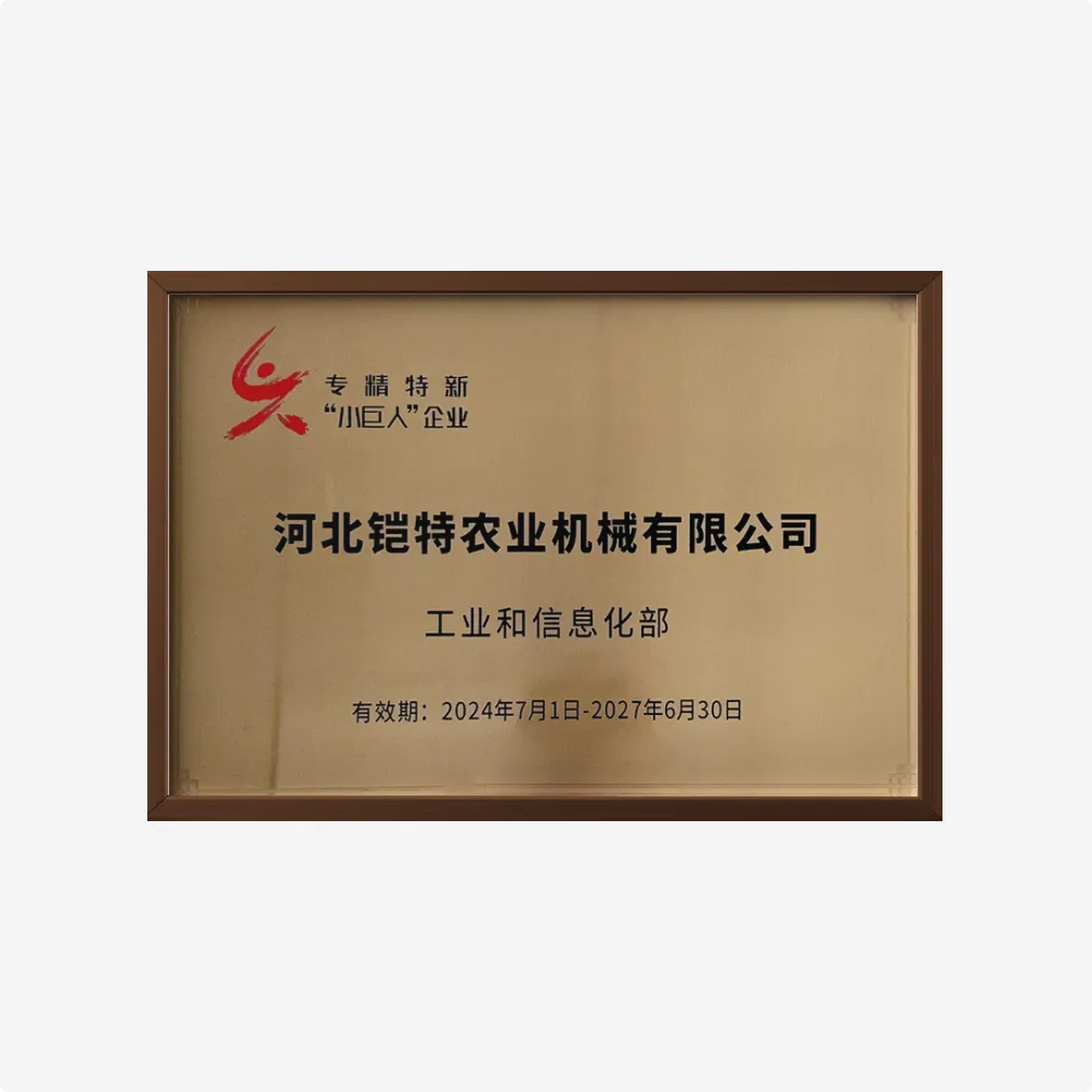 专精特新“小巨人”企业
