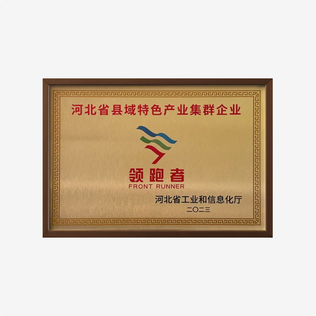 河北省县域特色产业集群“领跑者”企业